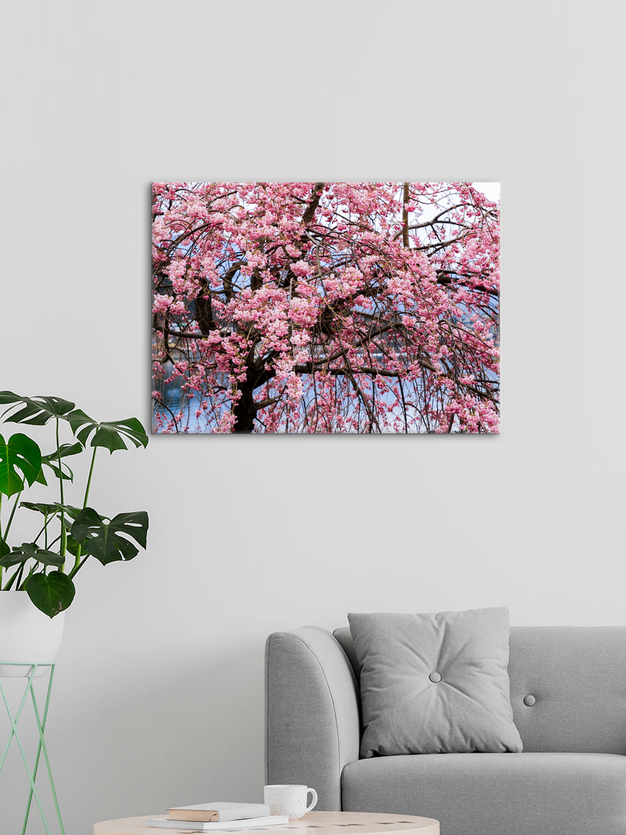 Обработанное