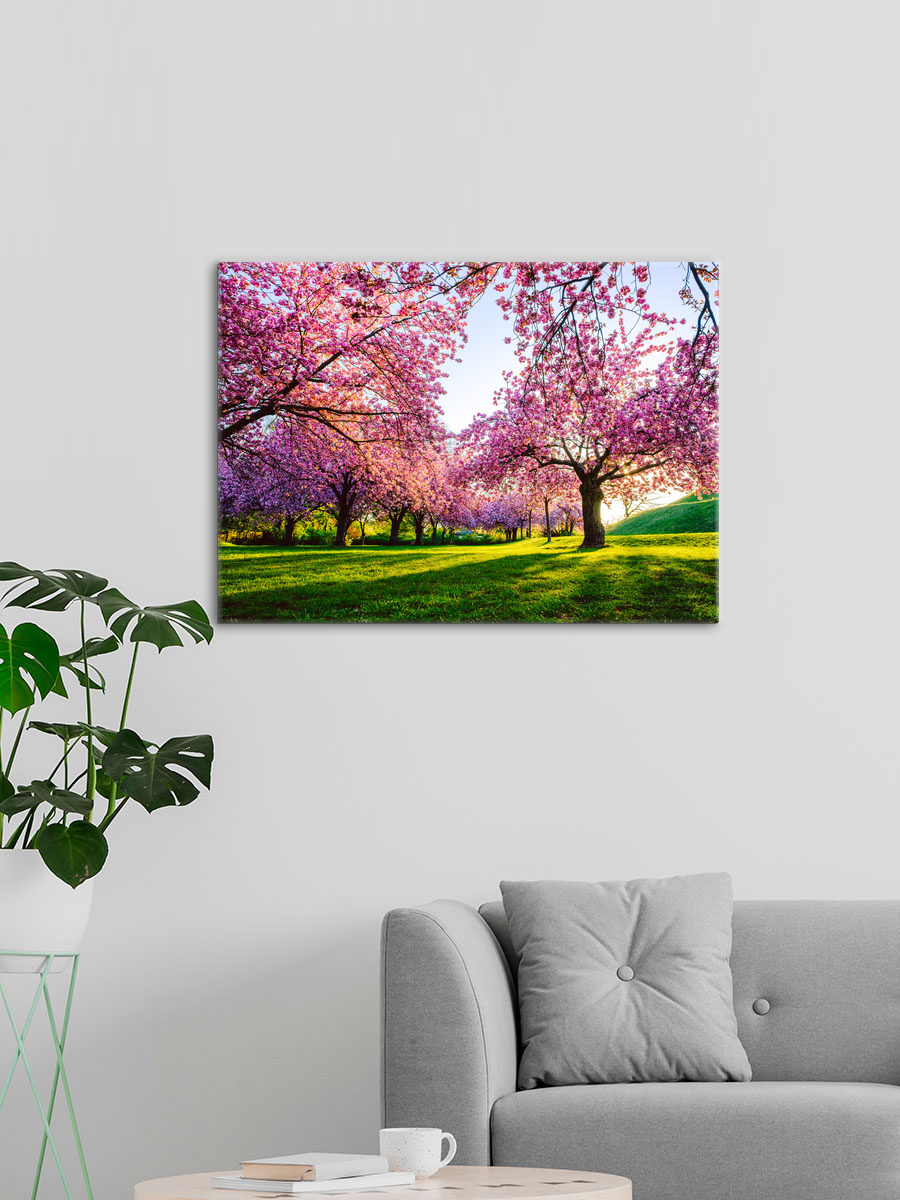 Обработанное