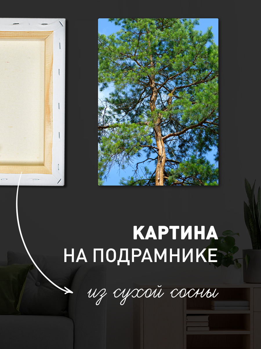 Обработанное