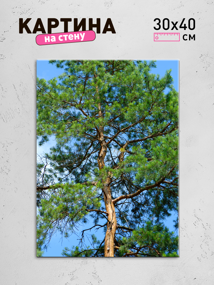 Обработанное