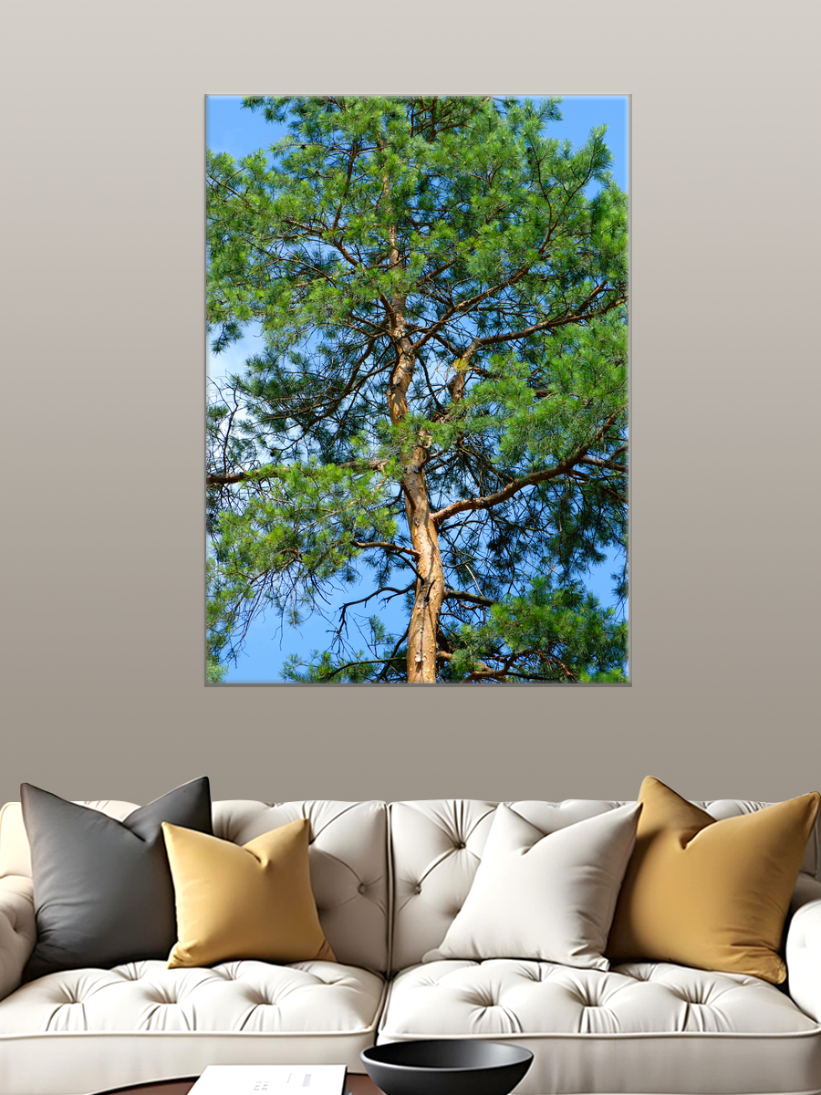 Обработанное