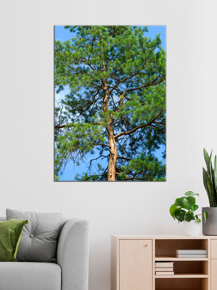 Обработанное