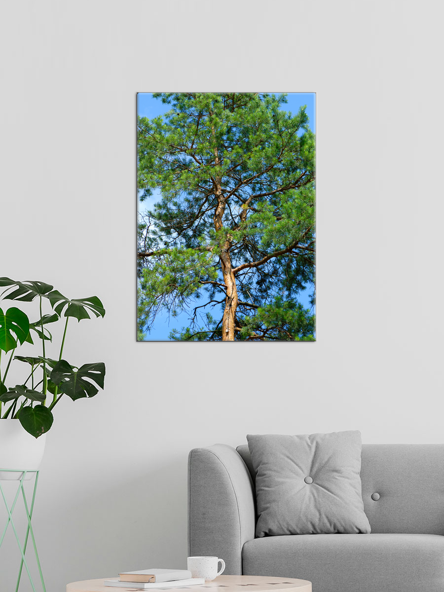 Обработанное