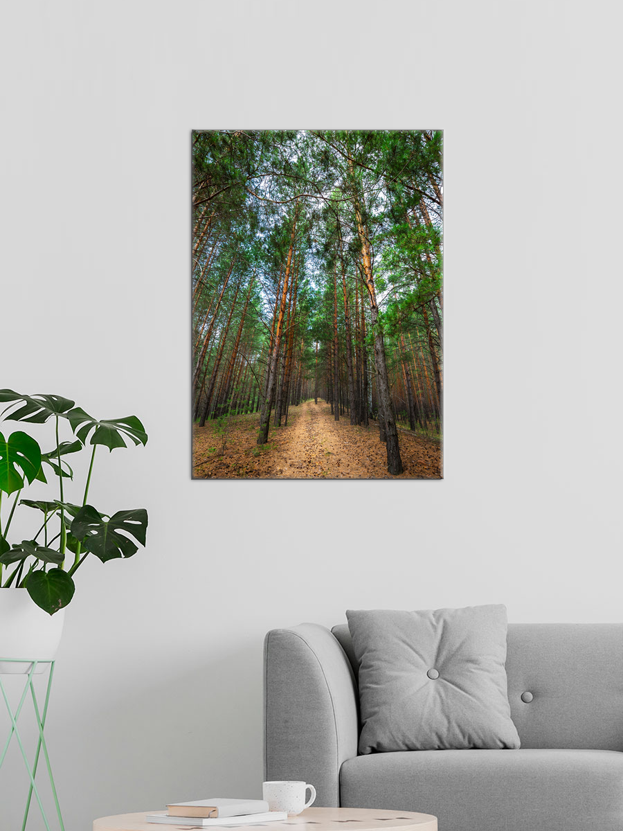 Обработанное