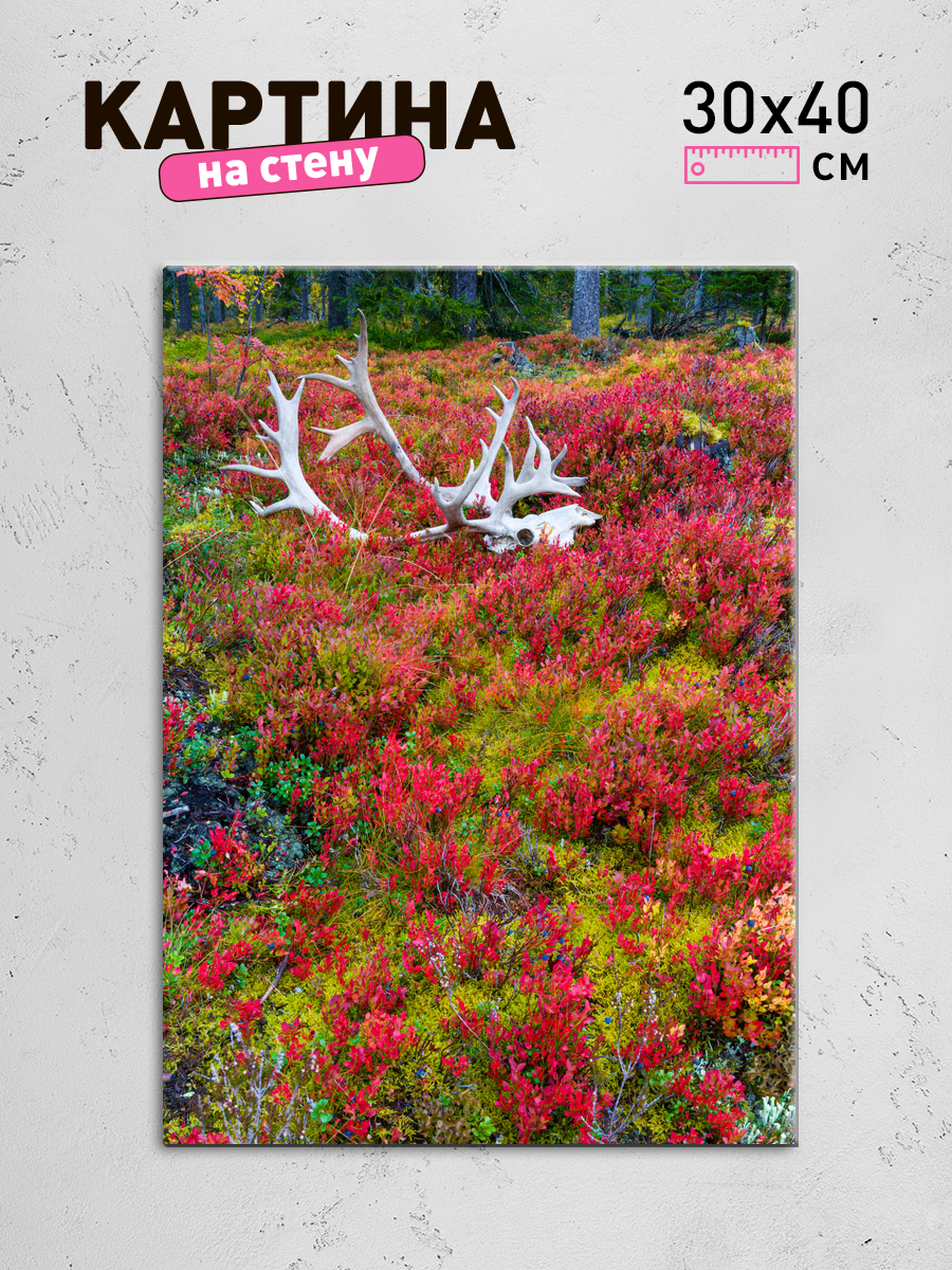 Обработанное