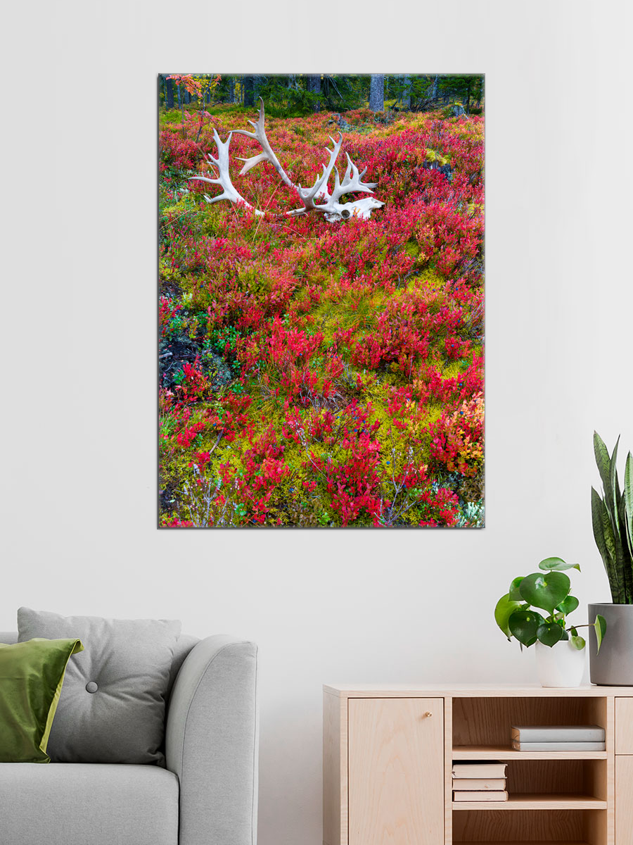 Обработанное