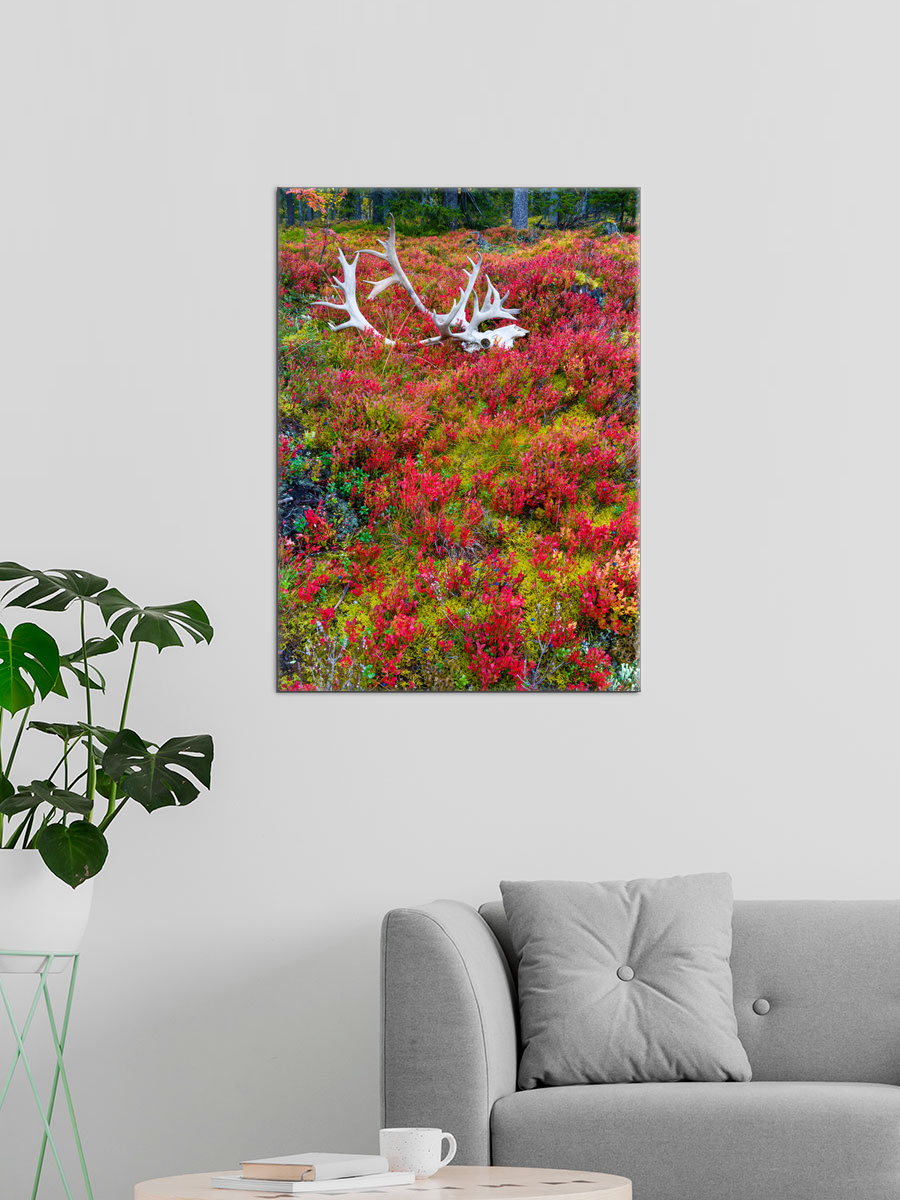 Обработанное