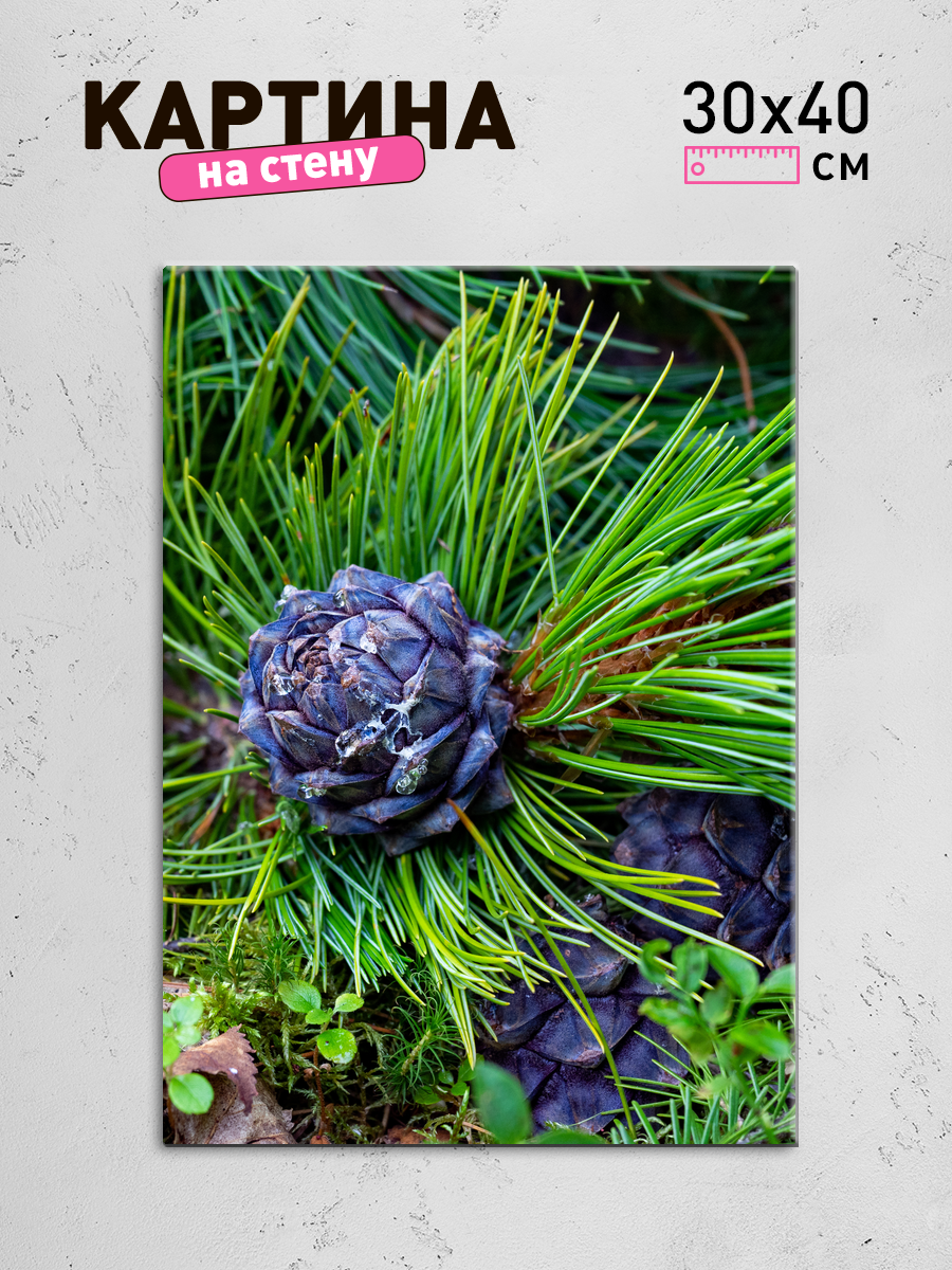 Обработанное