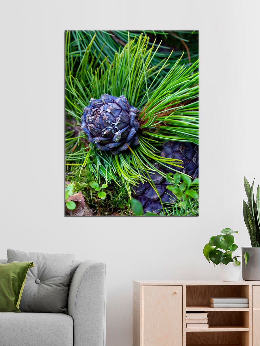 Обработанное