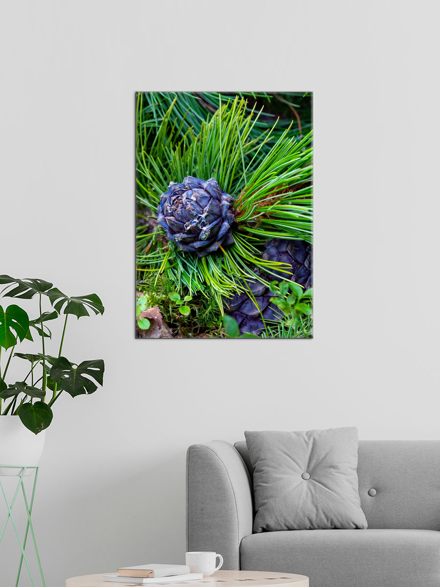 Обработанное