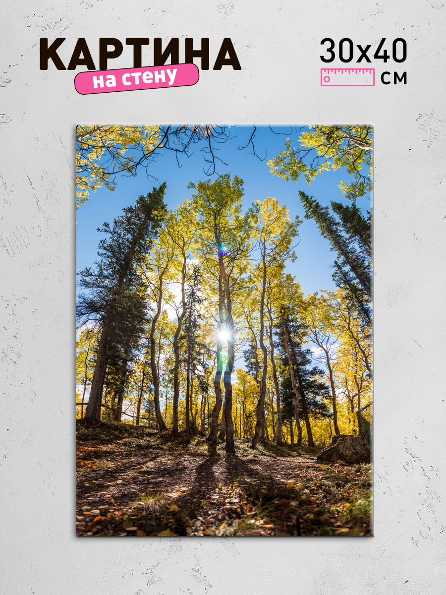 Обработанное