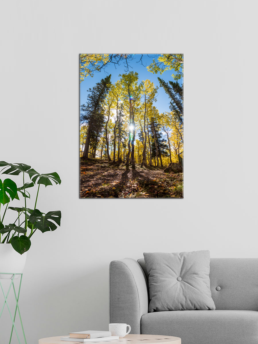 Обработанное