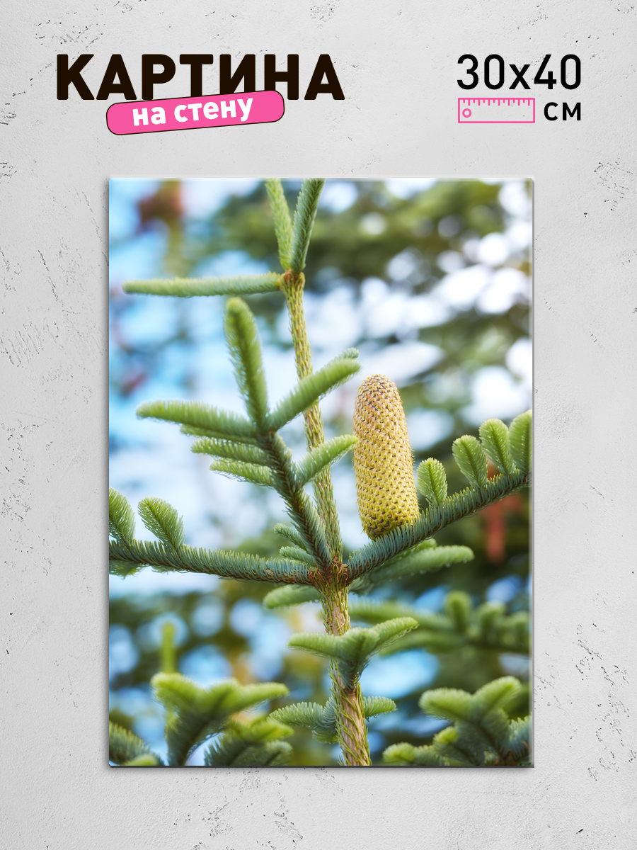 Обработанное