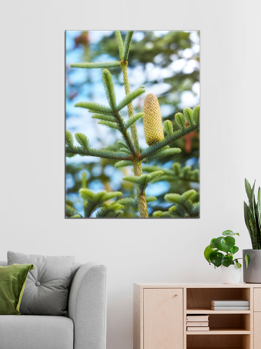 Обработанное