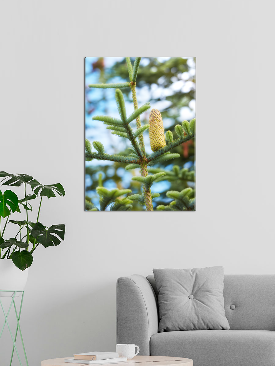 Обработанное