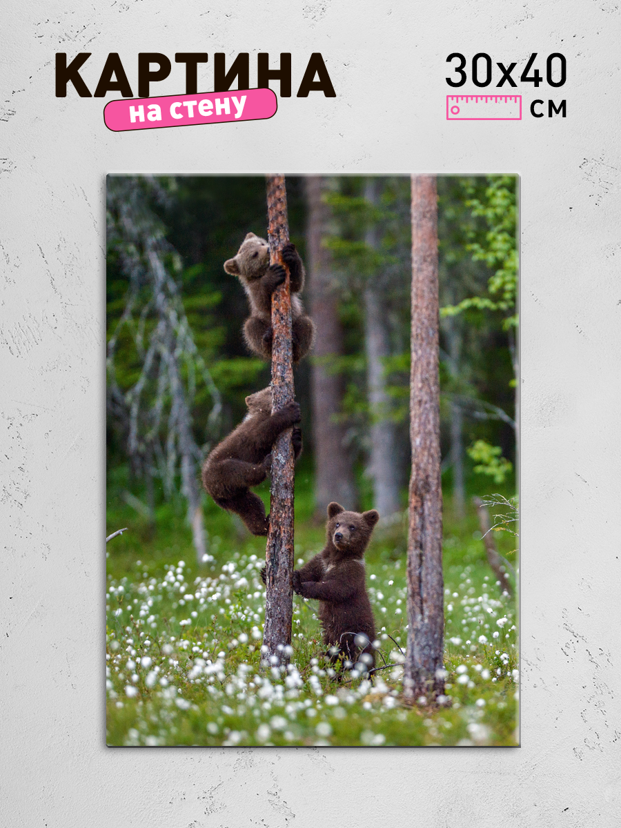 Обработанное