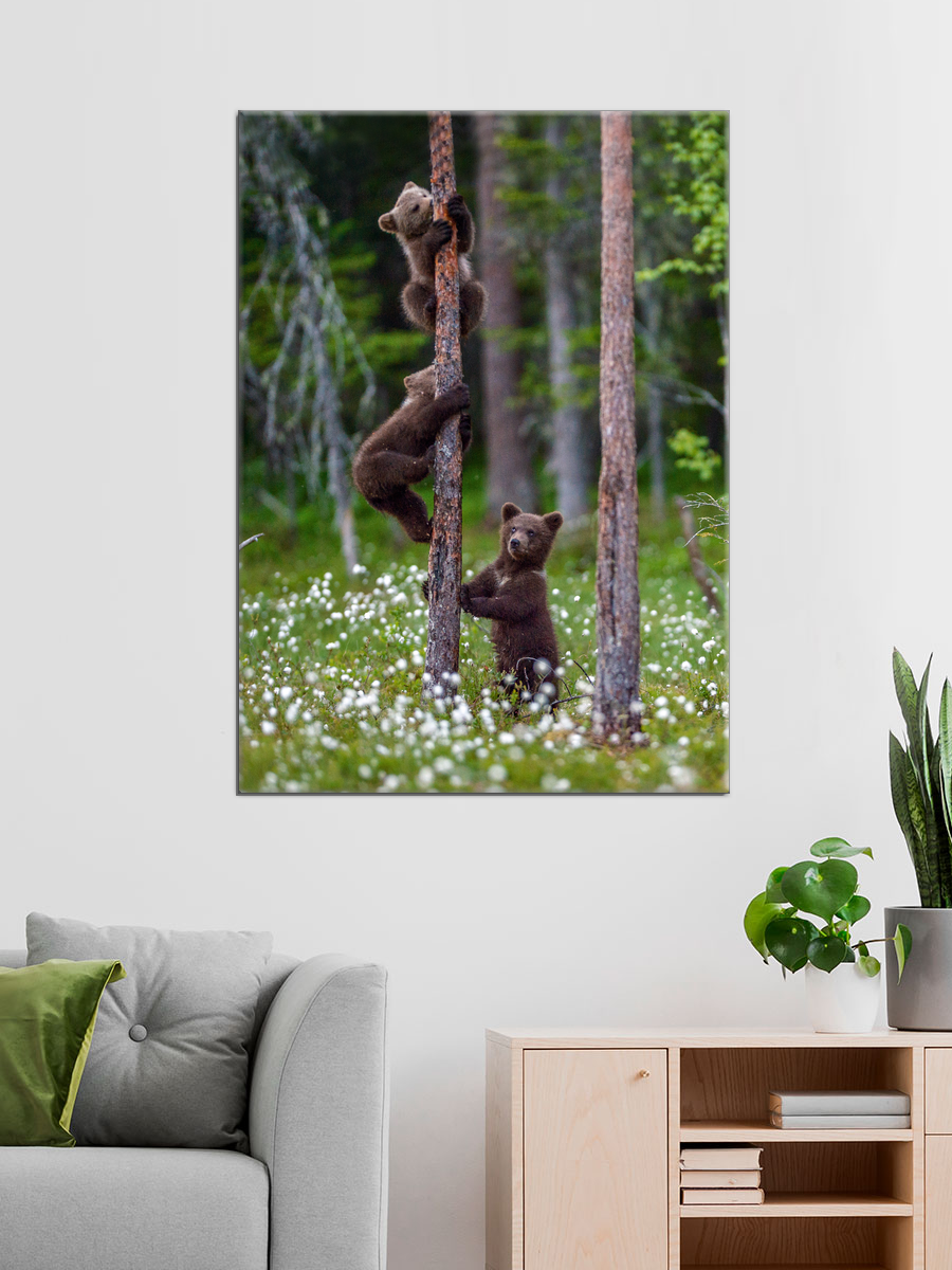 Обработанное