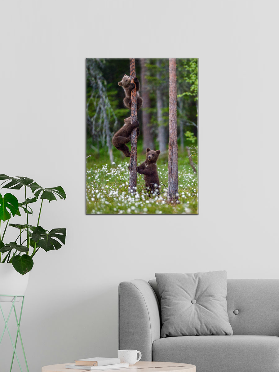 Обработанное