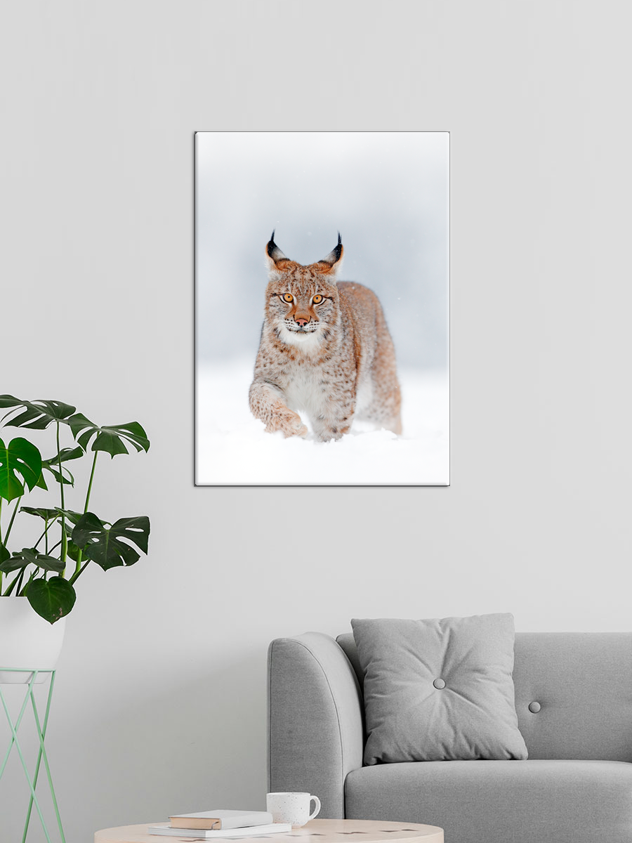 Обработанное