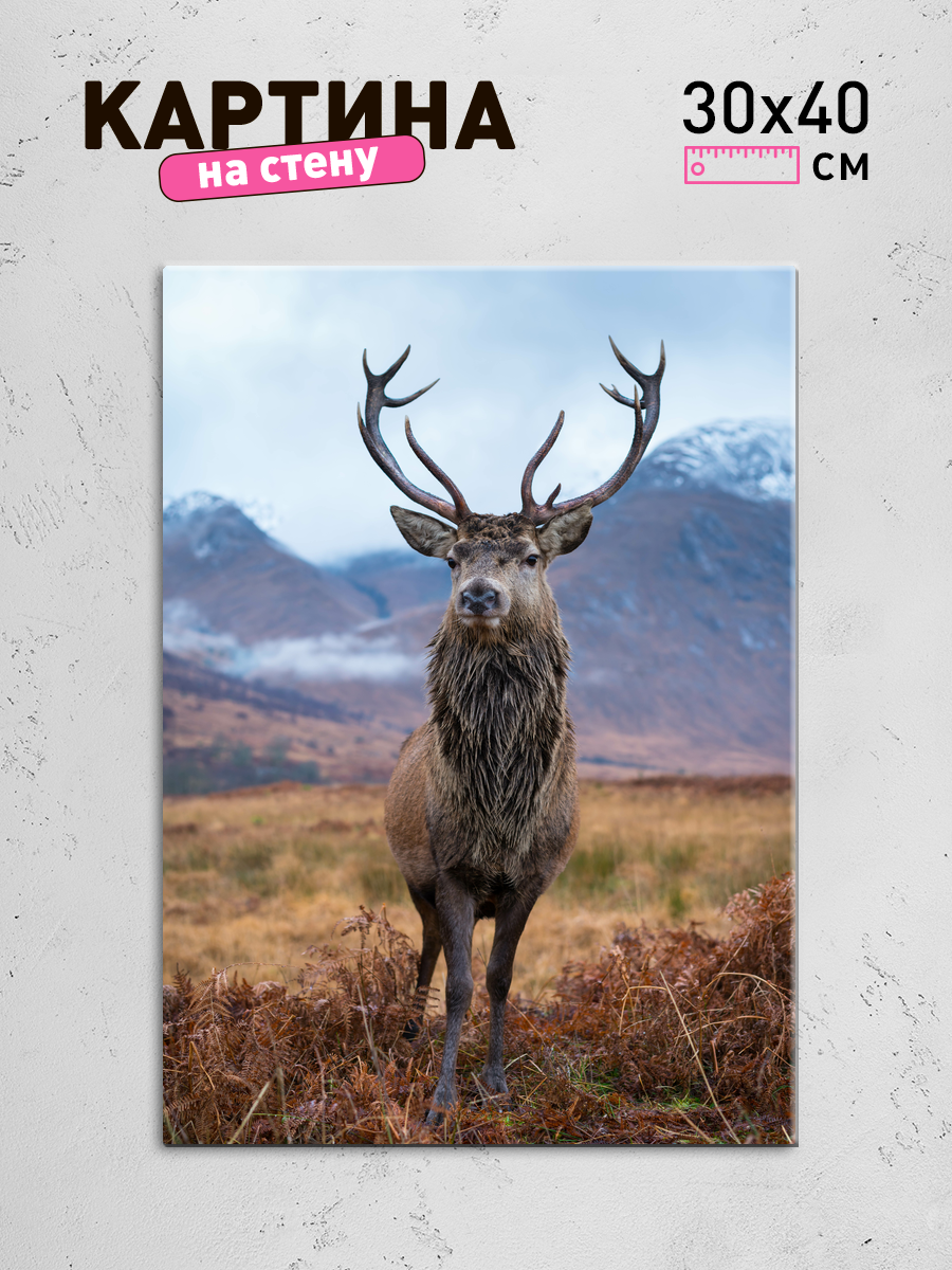 Обработанное