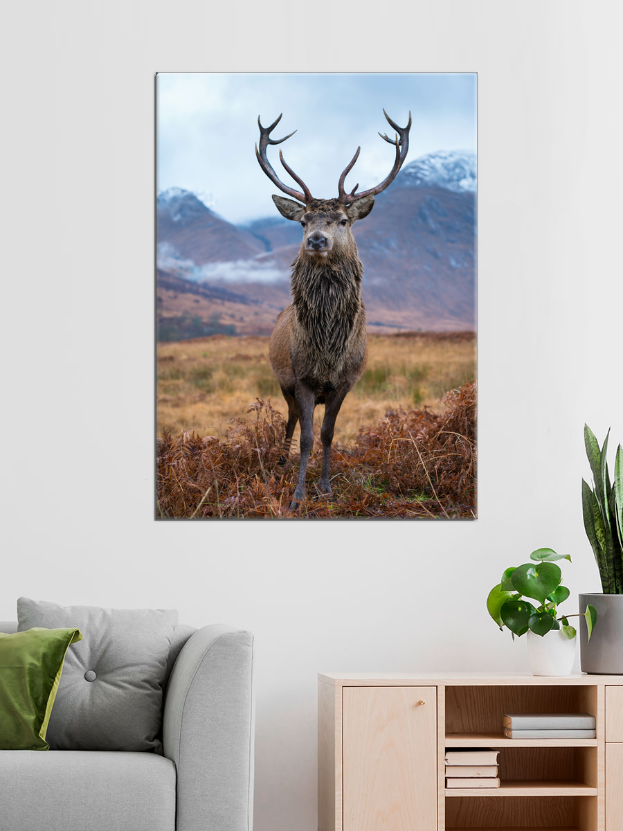 Обработанное