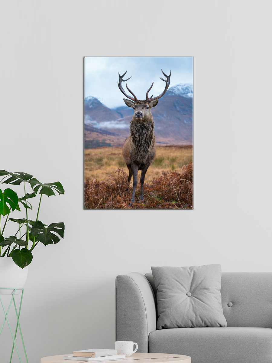 Обработанное