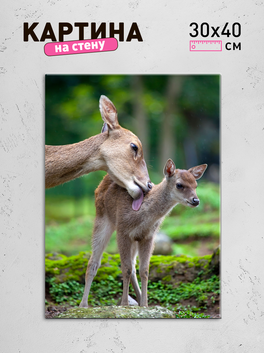 Обработанное