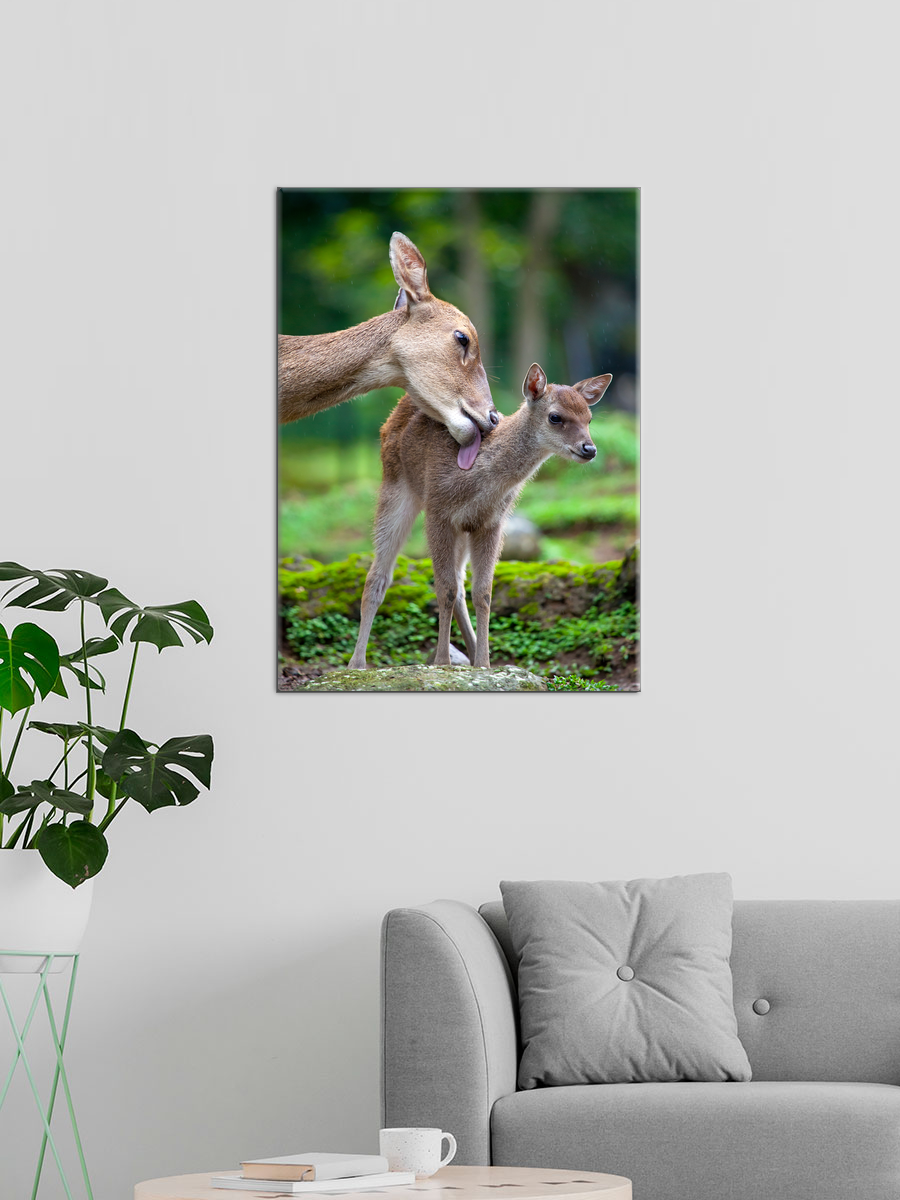 Обработанное