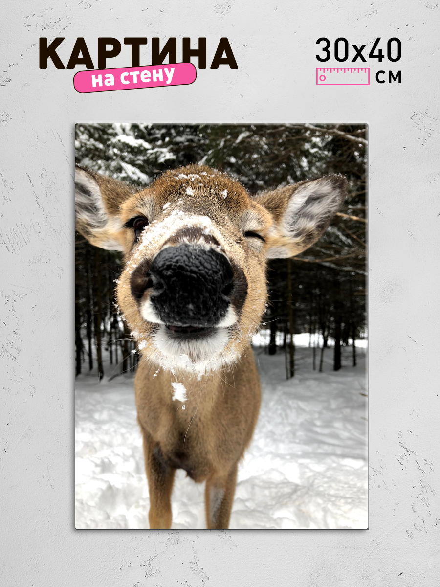 Обработанное