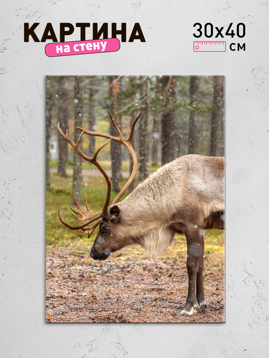 Обработанное