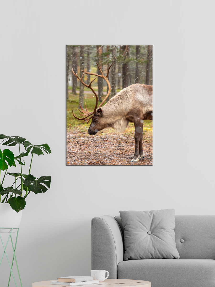 Обработанное