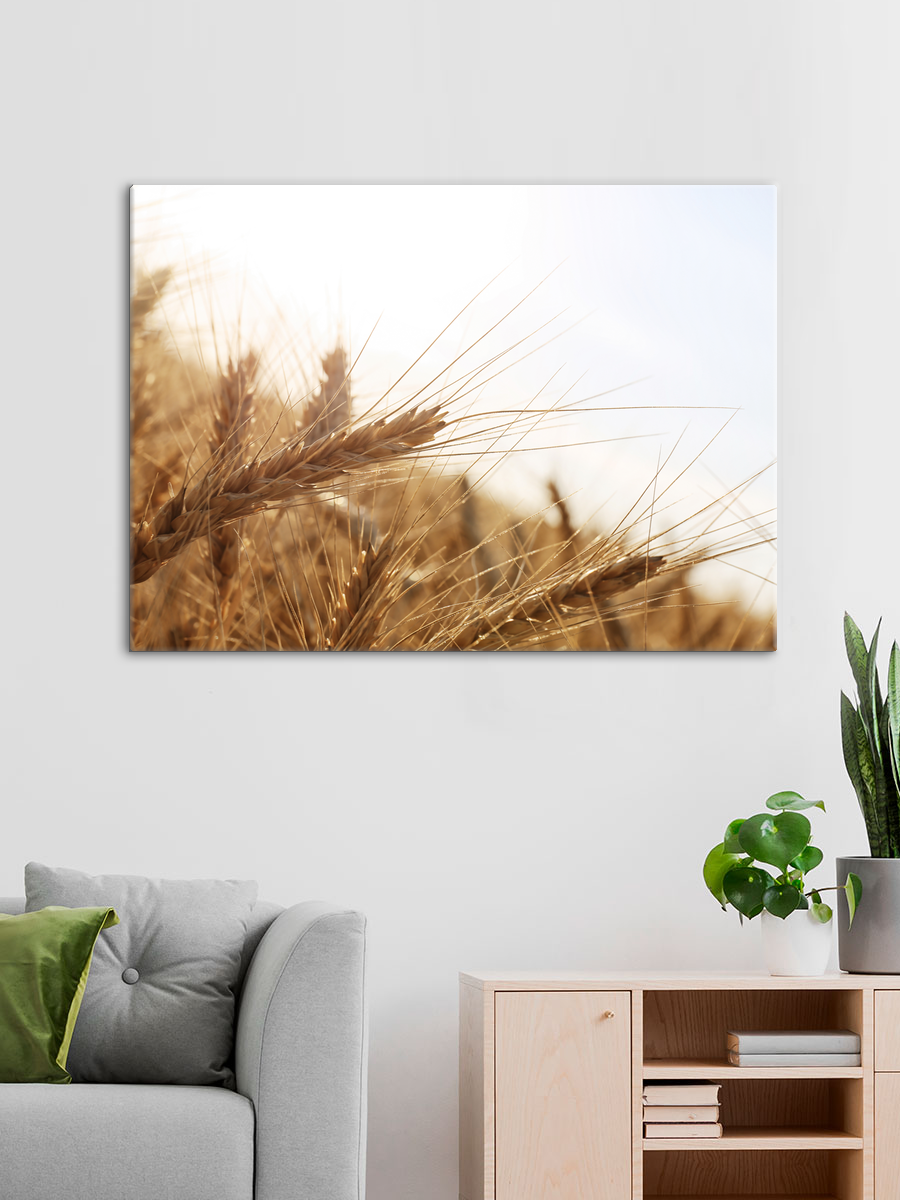 Обработанное