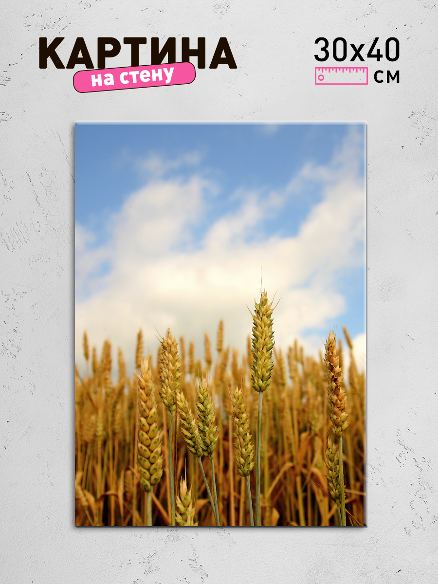 Обработанное