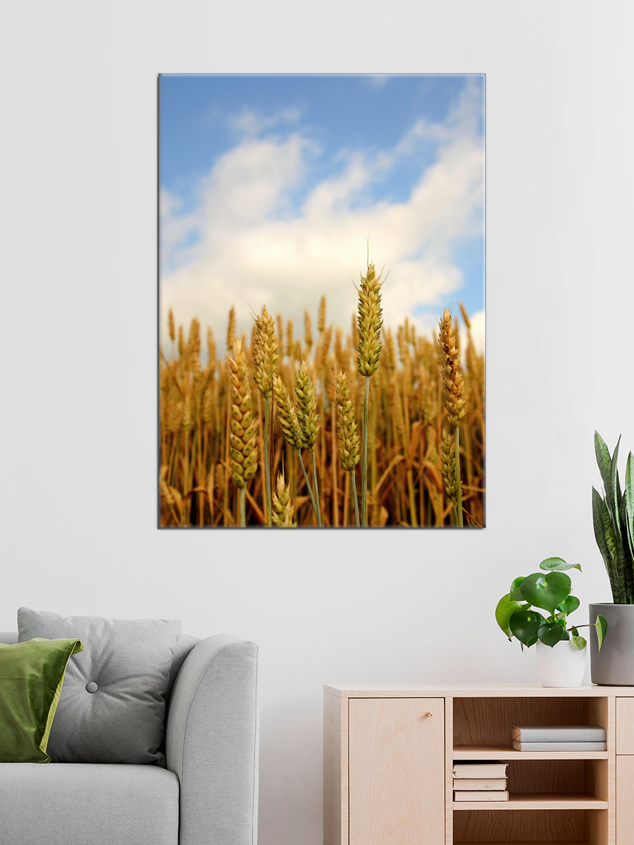 Обработанное