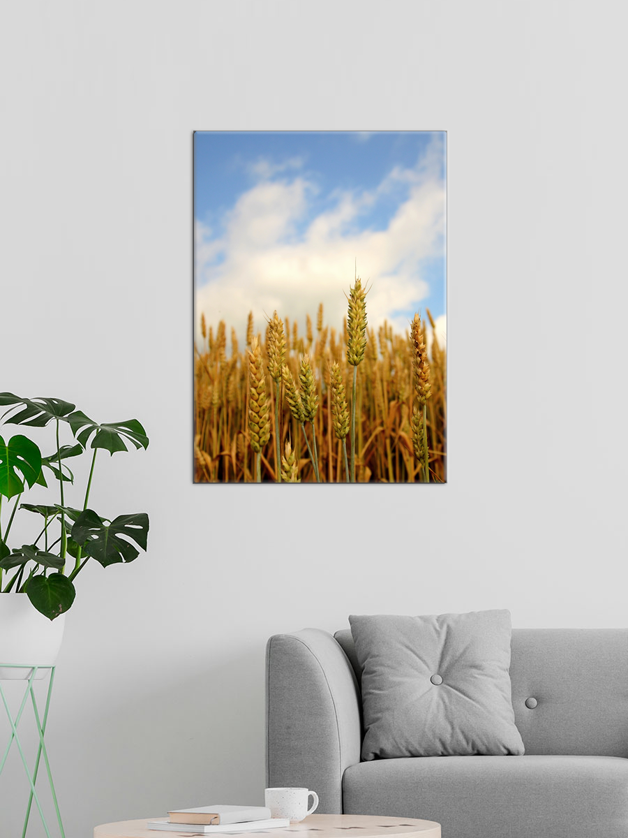 Обработанное