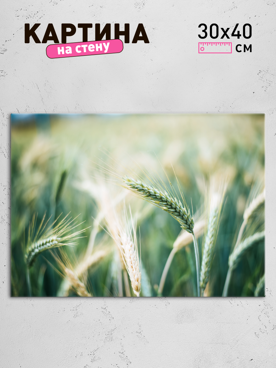 Обработанное