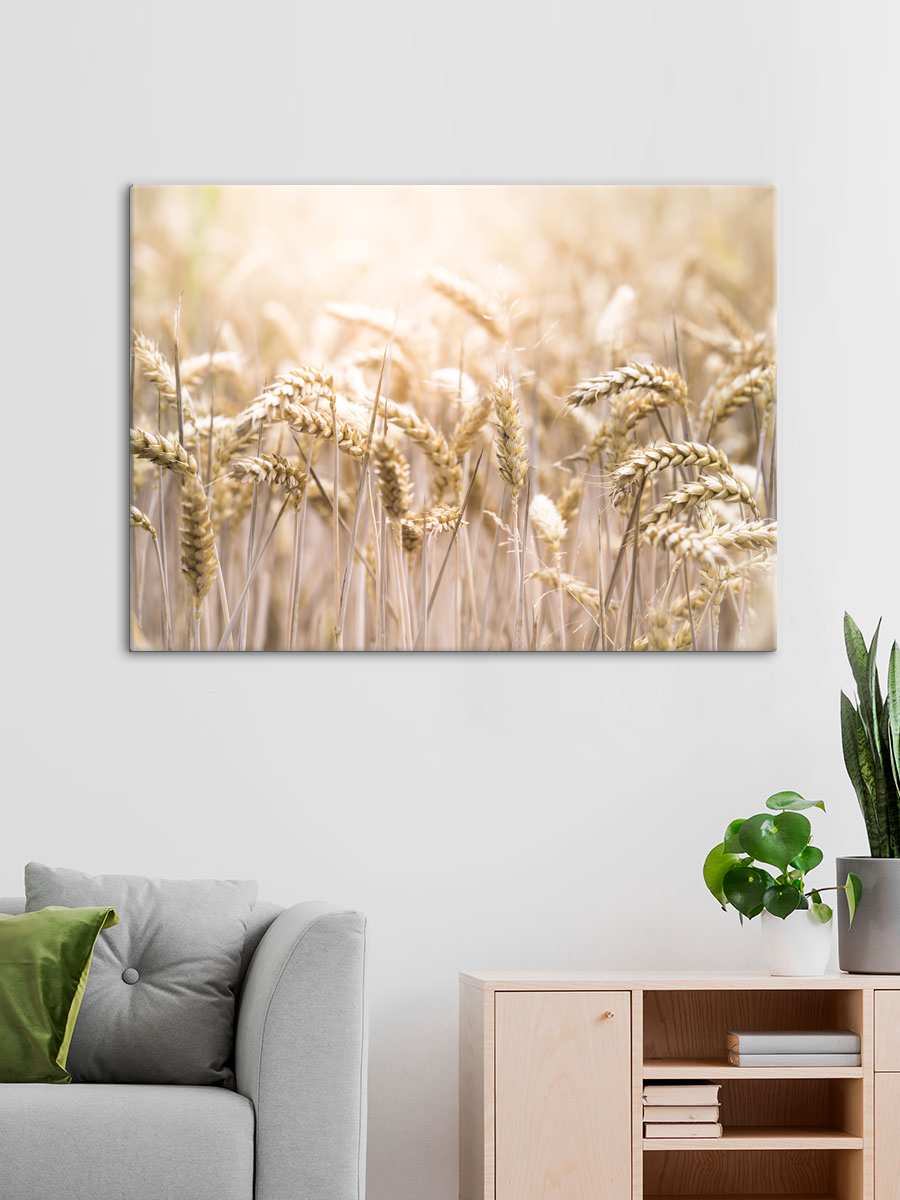 Обработанное