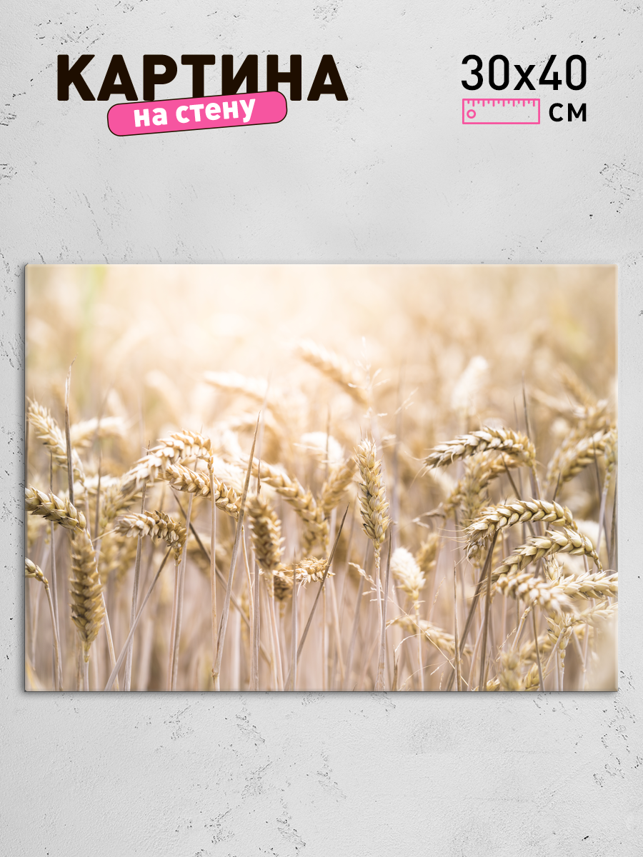 Обработанное