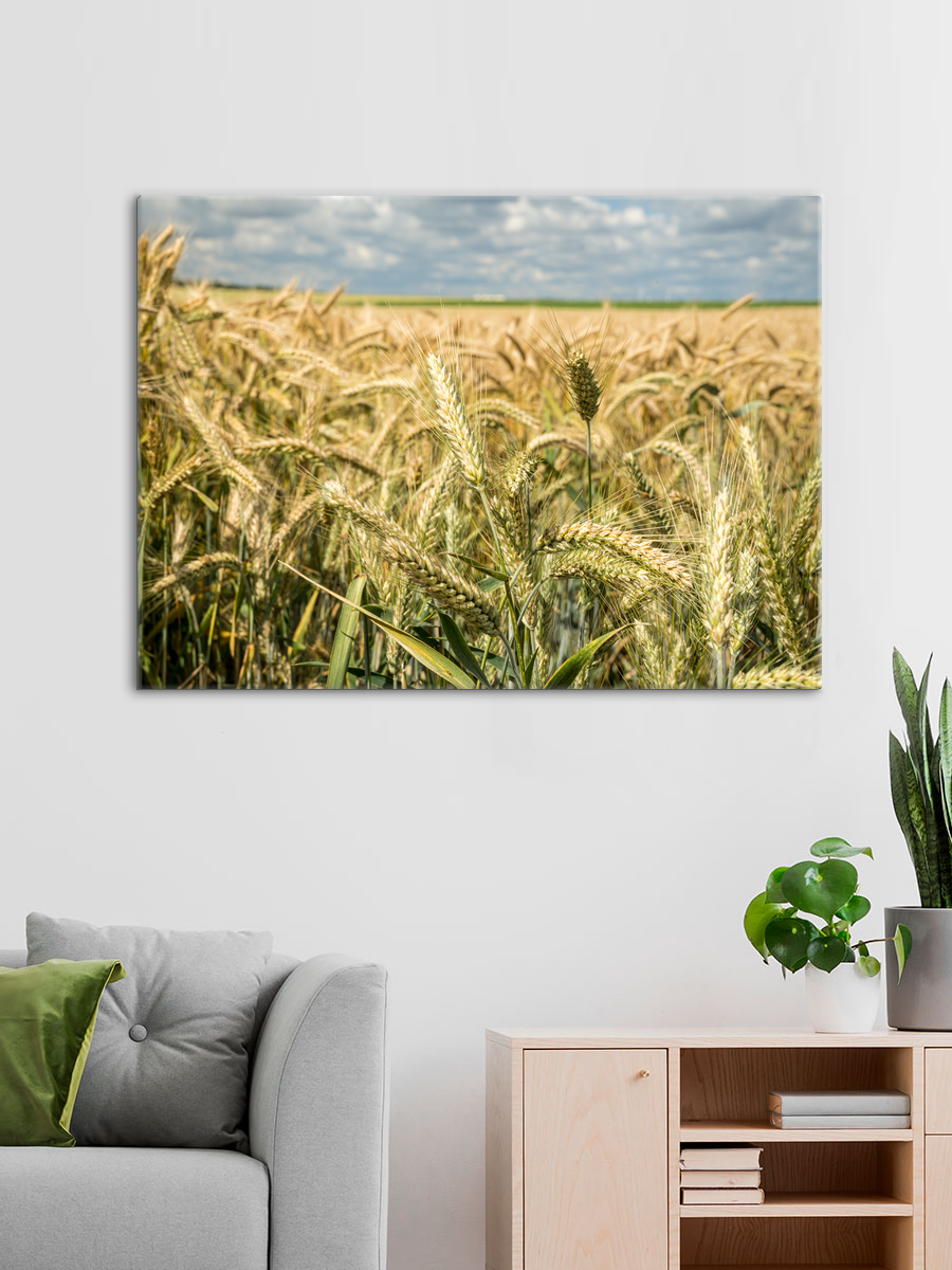 Обработанное