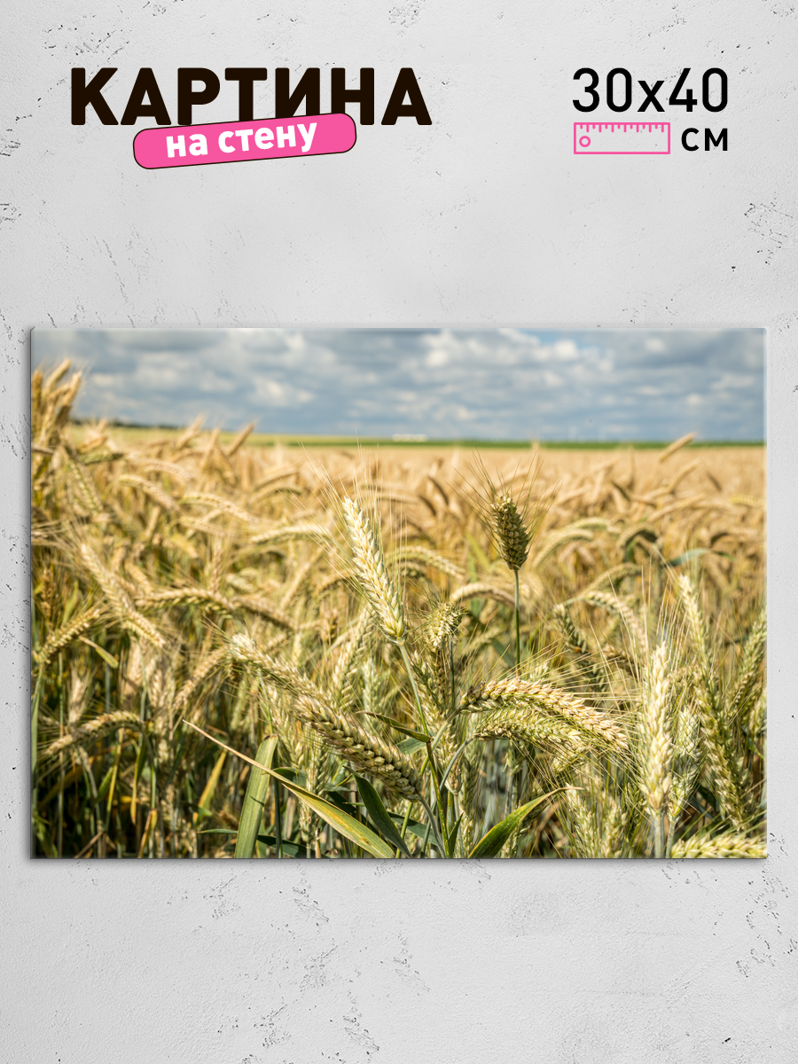 Обработанное