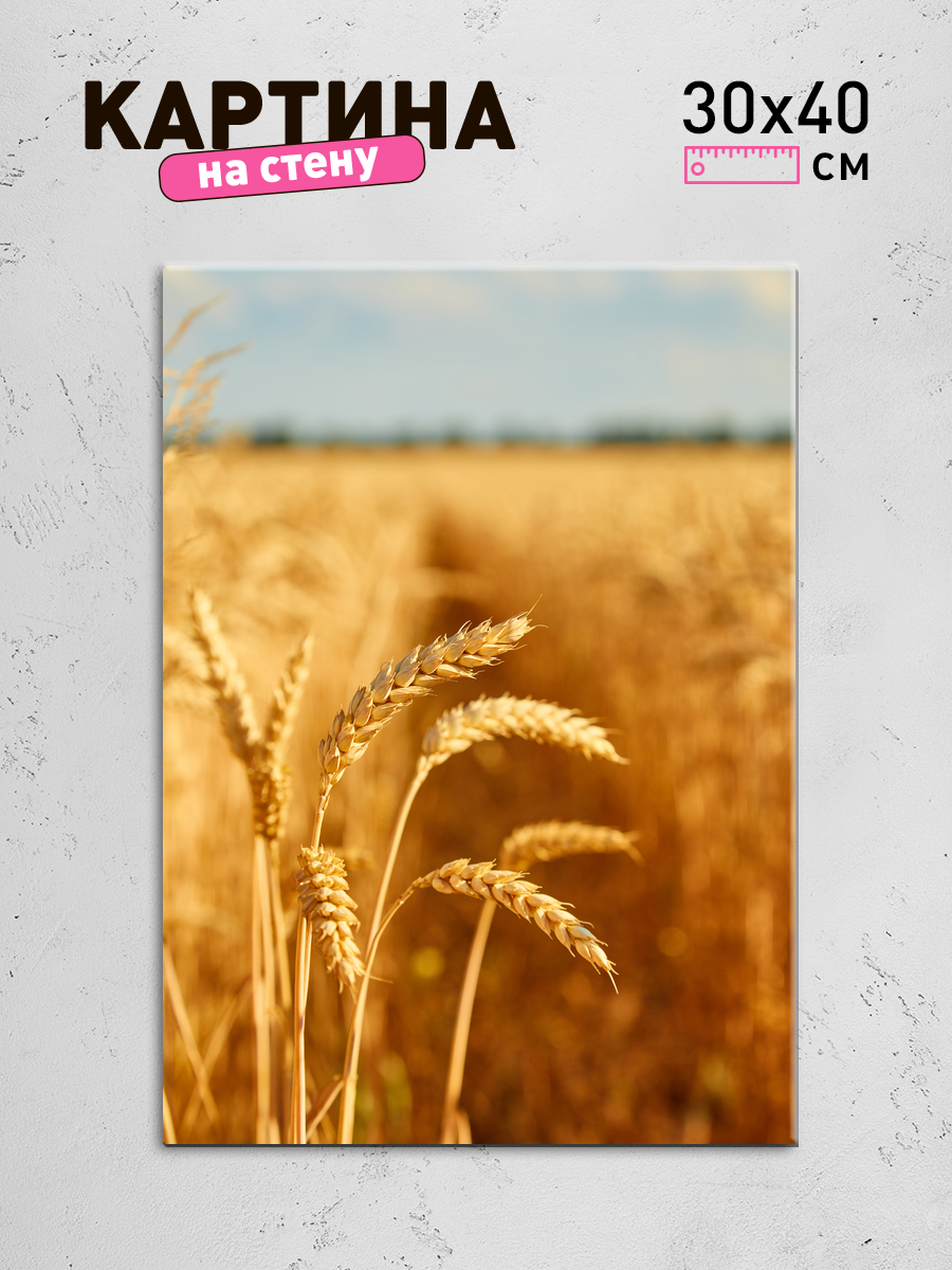 Обработанное