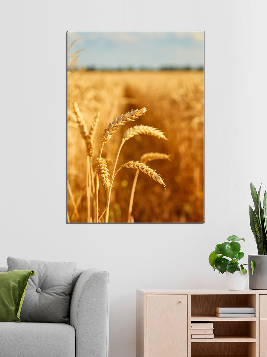 Обработанное