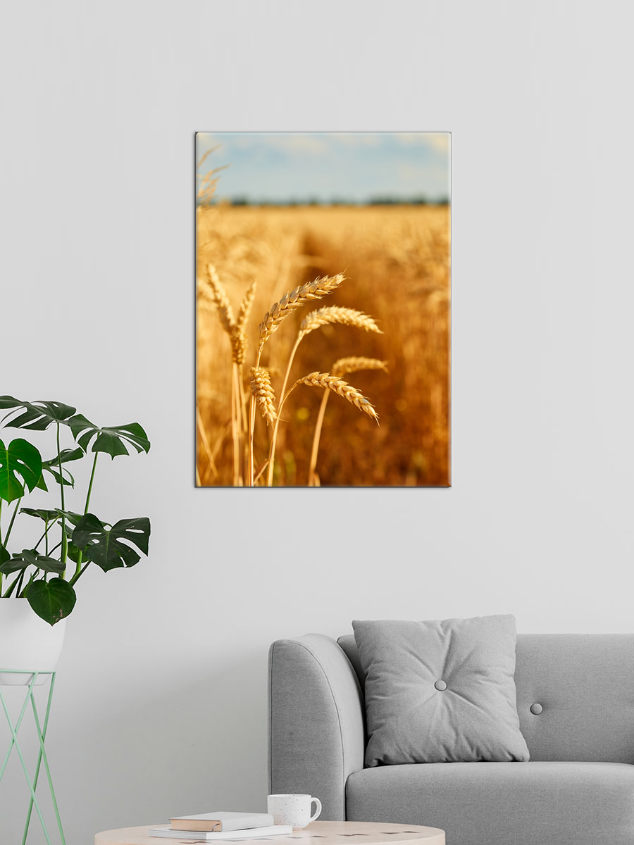 Обработанное