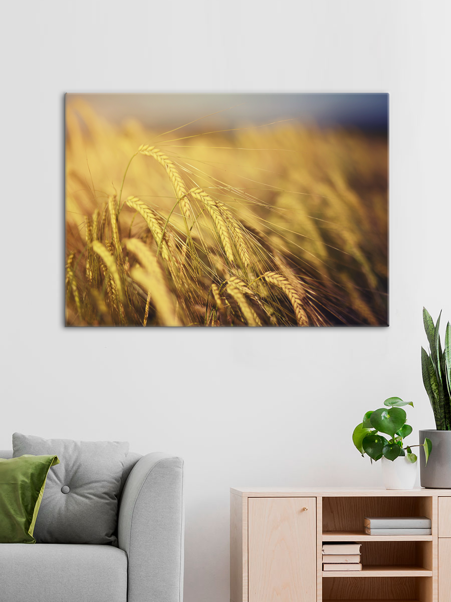 Обработанное