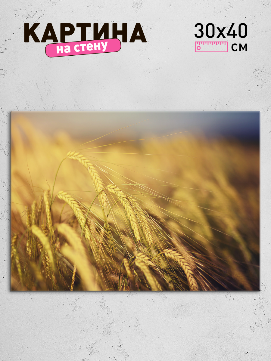 Обработанное