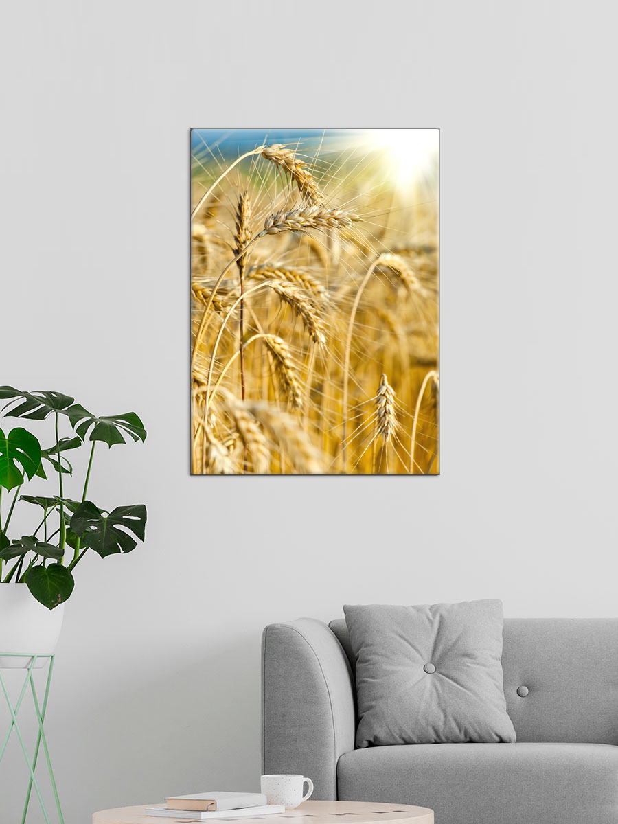 Обработанное