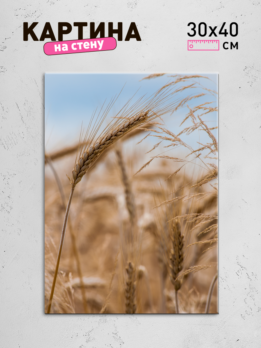 Обработанное