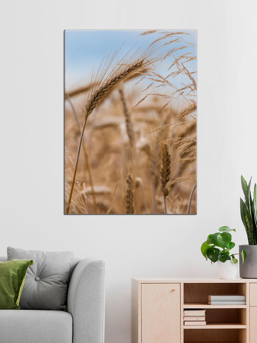 Обработанное