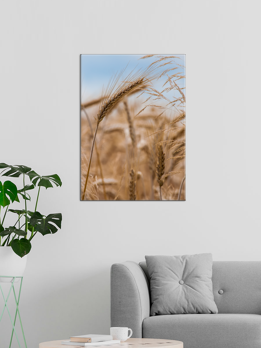 Обработанное