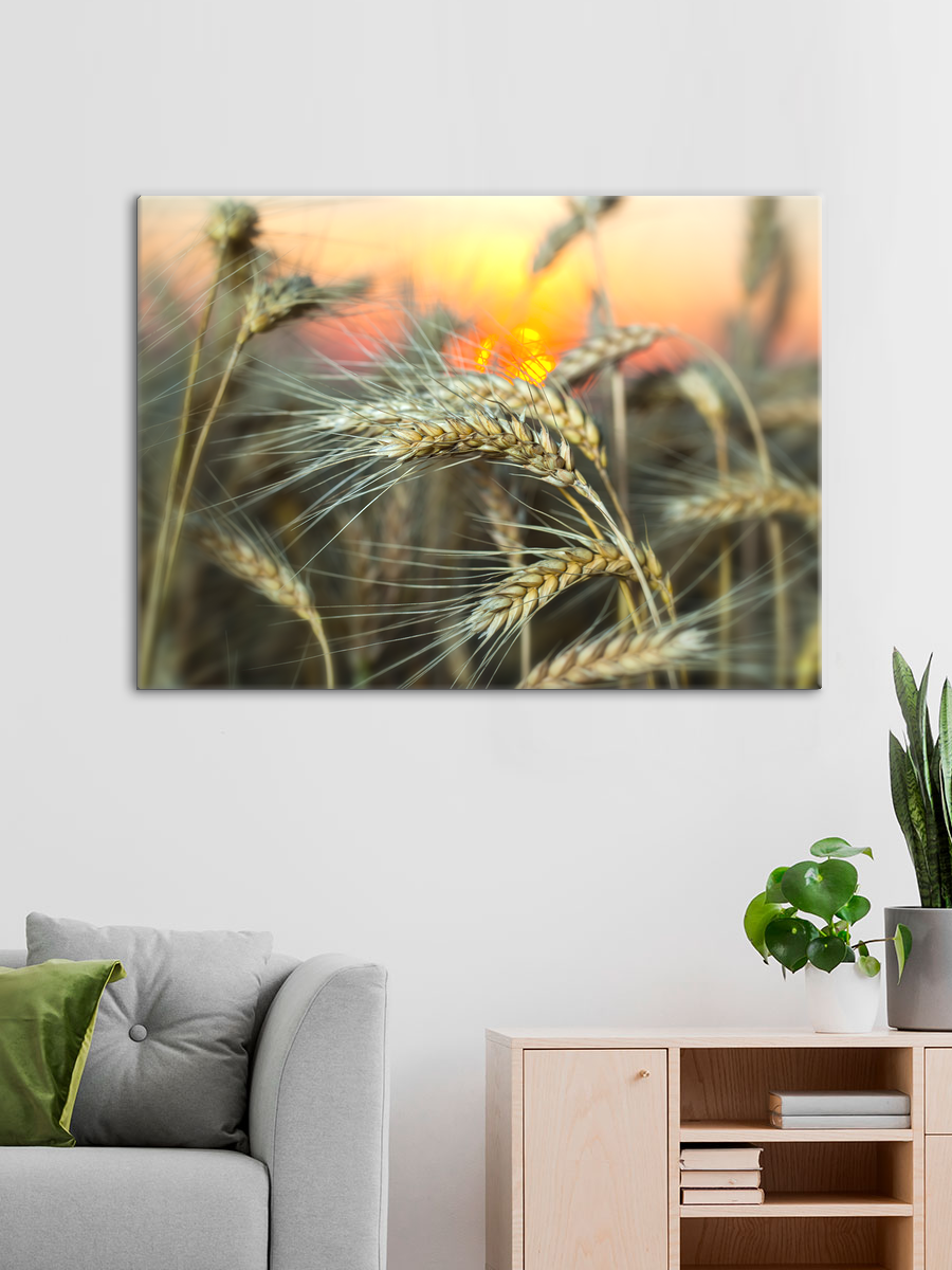 Обработанное